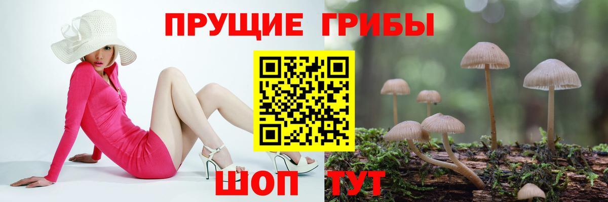Галлюциногенные грибы GOLDEN TEACHER Нижнекамск